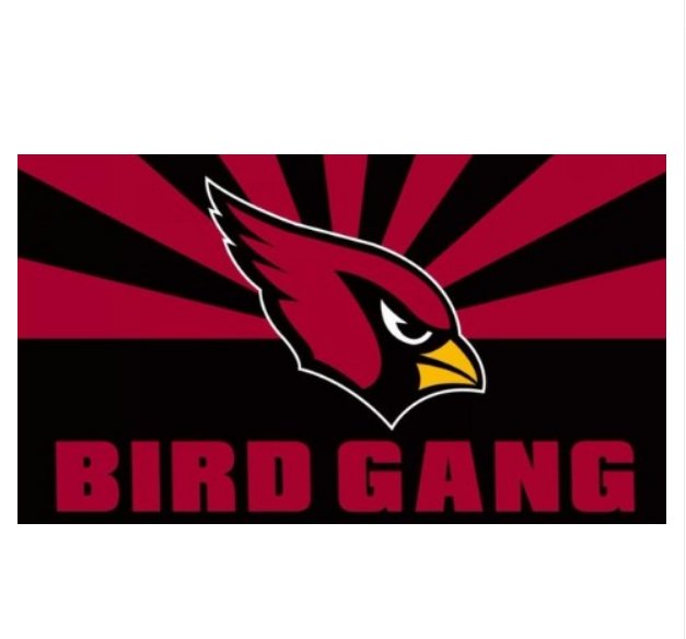 BIRD GANG Flags 90x150cm 3x5ft Polyester Digital Print Flag with 2 Metal Rings Arizona Cardinals