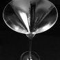 Martini Flute Crystal Rona Glass RARE 11" tall