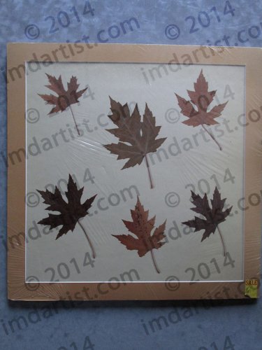 Pressed Leaves II