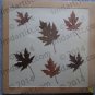 Pressed Leaves II