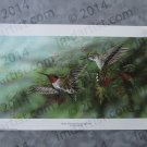 Ruby Throated Hummingbird by Gamini Ratnavira
