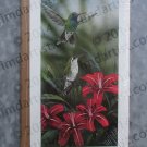Broad Billed Hummingbird by Gamini Ratnavira