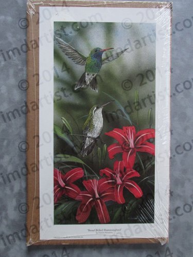 Broad Billed Hummingbird by Gamini Ratnavira