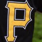 Men's Starling Marte Pittsburgh Pirates Black Flexbase Jersey
