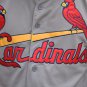 Men's Willie McGee St. Louis Cardinals Grey Flexbase Jersey