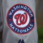 Men's Ryan Zimmerman Washington Nationals Grey Flexbase Jersey
