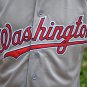 Men's Trea Turner Washington Nationals Grey Flexbase Jersey