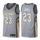 Cleveland Cavaliers LeBron James #23 Gray City Edition Jersey