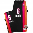 Lebron James Miami Floridians Black Throwback Stitched Jersey