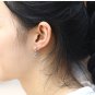 Chrome Hearts Small Cross Earring S925 Sterling Silver Earring jewellery - free shipping