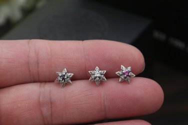 Chrome Hearts Star Earring 2025 | www.applelady.ca