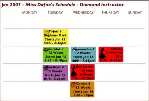 Bellydance Classes  Start Jan 15 - 9 weeks