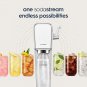 SodaStream Classic Diet Ginger Ale Syrup 440ml Zero Sugar Drink Mix