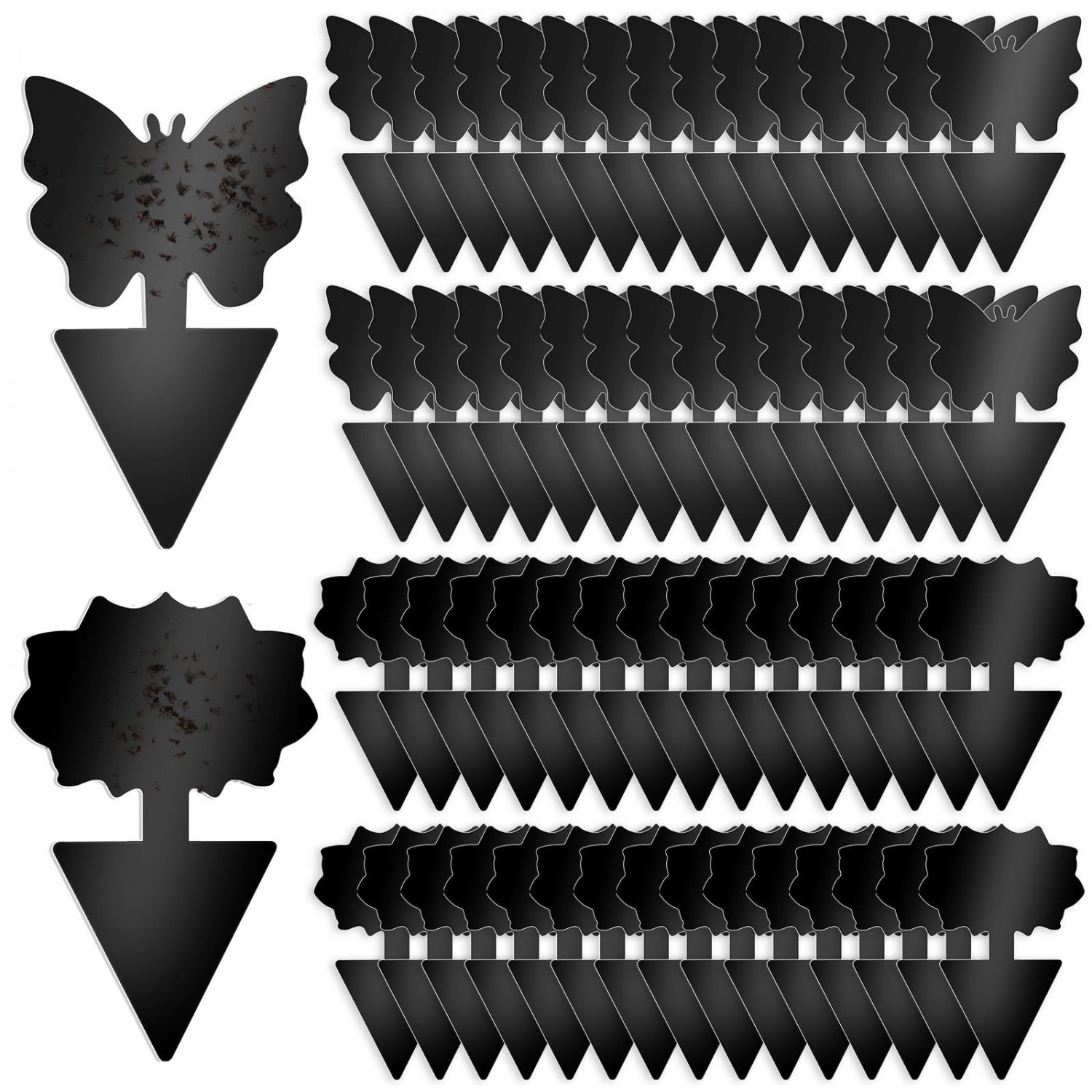 Fruit Fly Traps 60 Pack Black Sticky Traps Fungus Gnat Plant Fly
