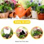 Fruit Fly Traps 60 Pack Black Sticky Traps Fungus Gnat Plant Fly