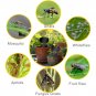 Fruit Fly Traps 60 Pack Black Sticky Traps Fungus Gnat Plant Fly