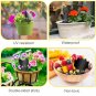 Fruit Fly Traps 60 Pack Black Sticky Traps Fungus Gnat Plant Fly