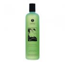 Shunga Bath And Shower Gel Sensual Mint