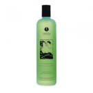 Shunga Bath And Shower Gel Sensual Mint