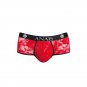 Anais Men - Brave Brief Xl