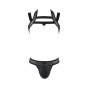 Passion 043 Set Jacob Black S/m