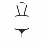 Passion 039 Set Andrew Black L/xl