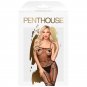 Penthouse Firecracker Bodystocking S-L