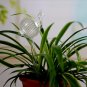 2 PCS THE SNAIL SHAPE SELF-WATERING PLANT GLASS BULBS