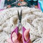 Havel's Sew Creative Curved Tip Applique Scissors 5.5in