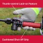 Chapin 26021XP Compression Sprayer 2 Gallon