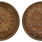 Souvenir USA Indian Head 1876 Small Cent - Free Shipping