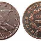 Souvenir USA New Flying Eagle 1858 Copper Small Cent - Free Shipping