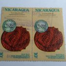 Nicaraguan 10 cent inverted frame