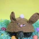 Bunny turtle costume