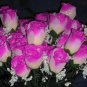 84 Silk Rose Flowers w/Raindrops -Wedding Flowers Bridal/Floral - Ivory/Hot Pink