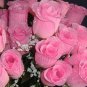 84 Silk Rose Flowers w/Raindrops - Wedding Flowers Bridal/Floral - Double Pink