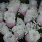 84 Silk Rose Flowers w/Raindrops - Wedding Flowers Bridal/Floral - Ivory/Rose