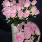 84 Silk Rose Flowers w/Raindrops -Wedding Flowers Bridal/Floral - Ivory / Pale Pink