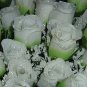 84 Silk Rose Flowers w/Raindrops -Wedding Flowers Bridal/Floral - Lime Green / White