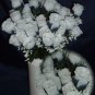 84 Silk Rose Flowers w/Raindrops -Wedding Flowers Bridal/Floral - Navy Blue / White