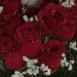 84 Silk Rose Flowers w/Raindrops - Wedding Flowers - Bridal/Floral - Burgundy