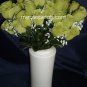 84 Silk Rose Flowers w/Raindrops - Wedding Flowers - Bridal/Floral - Lime Green