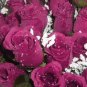 84 Silk Rose Flowers w/Raindrops - Wedding Flowers - Bridal/Floral - Raspberry