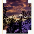 8x10 WALL CANVAS (FAUX)