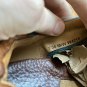 BORN Womens Two Tone Brown Teal Leather Casual Preppy Bowler Oxford Sneakers