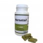 Horsetail (Equisetum arvense) Capsules - 500 mg  100 Vegan Capsules Herbal