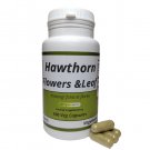 Hawthorn Flowers &Leaf (Krataegi folia et flores) 100 Capsules - 500 mg 100 Vegan Capsules Herbal Hawthorn Flowers &Leaf (Krataegi folia et flores) 100 Capsules - 500 mg 100 Vegan Capsules Herbal