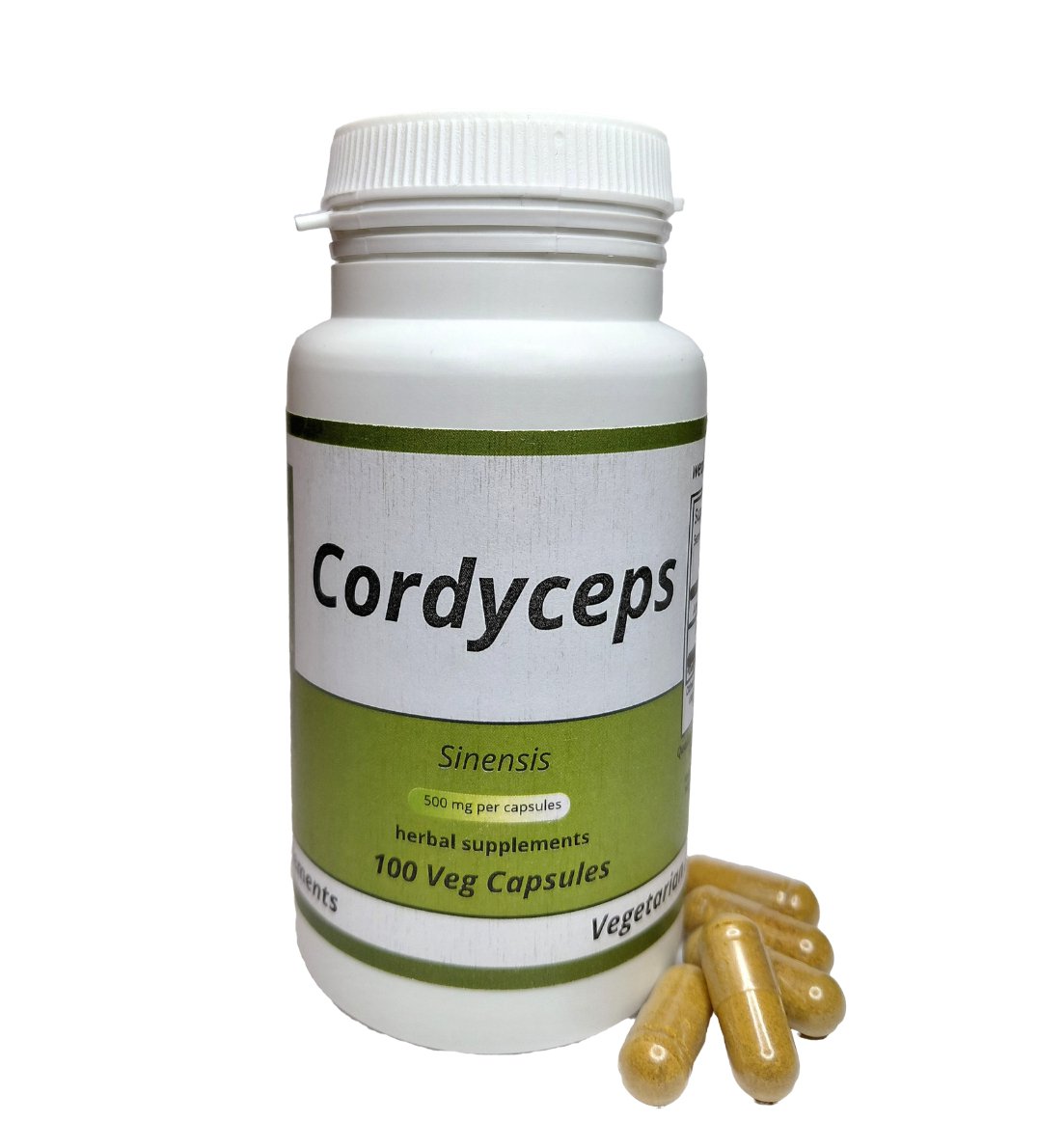 Cordyceps  Sinensis 100 Capsules - 500 mg  100 Vegan Capsules Herbal