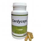 Cordyceps  Sinensis 100 Capsules - 500 mg  100 Vegan Capsules Herbal