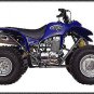 Kasea Skyhawk 250 ATV Engine Motor Cylinder & Pistons 250cc